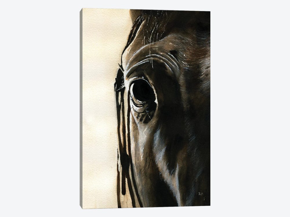 Horse Thoughts by Rachel Parker 1-piece Canvas Art