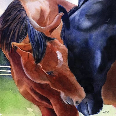 Lovers by Rachel Parker canvas print