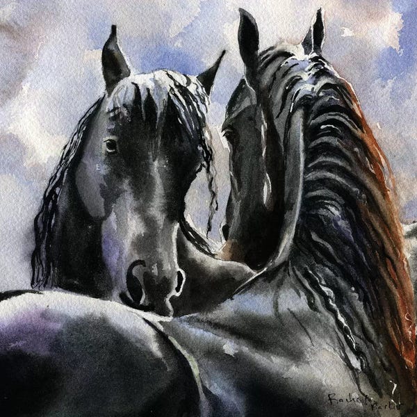 Scratch Your Back