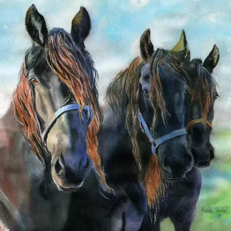 Three Friesians by Rachel Parker wall art