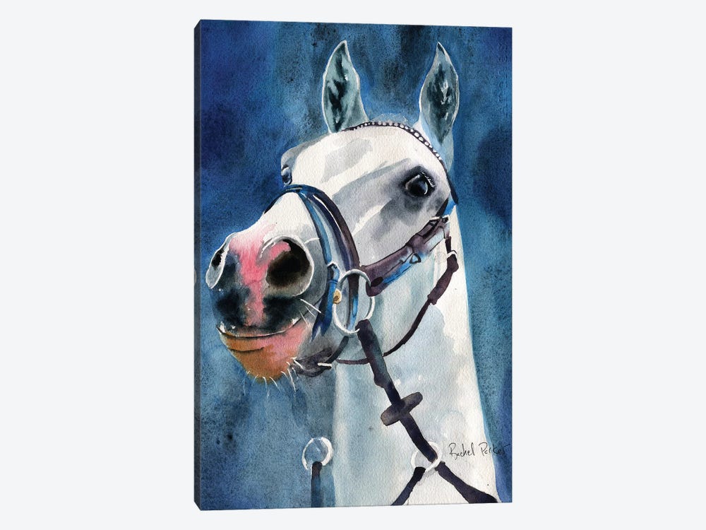 Welsh Pony Spirit by Rachel Parker 1-piece Canvas Print