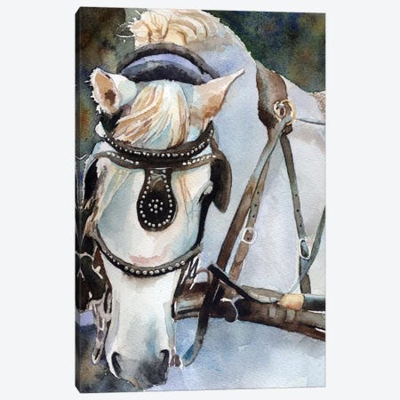 White Percheron In Charleston Canvas Print #RPK82} by Rachel Parker Canvas Print
