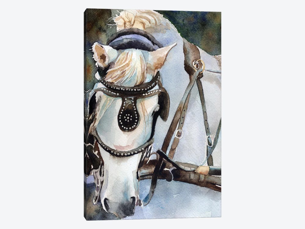 White Percheron In Charleston by Rachel Parker 1-piece Canvas Artwork