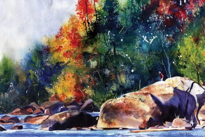 Saluda River Rocks by Rachel Parker canvas print