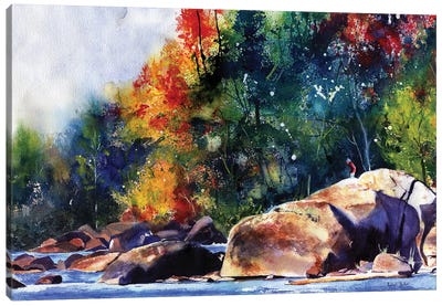 Saluda River Rocks Canvas Art Print - South Carolina Art