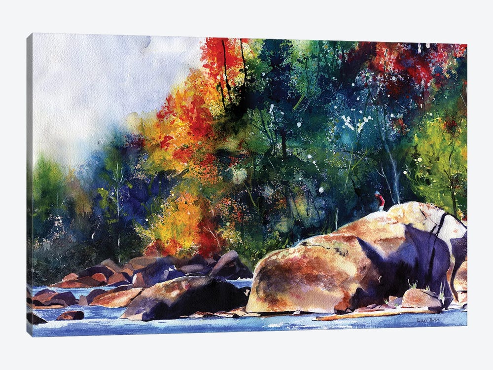 Saluda River Rocks by Rachel Parker 1-piece Canvas Art Print