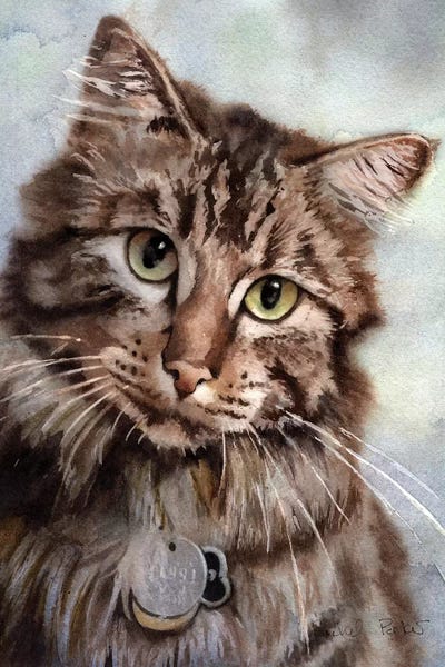 Maine Coon Eyes by Rachel Parker metal wall art
