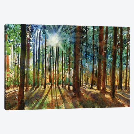 Lanscapes Karins Forest Canvas Print #RPK91} by Rachel Parker Canvas Art