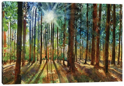 Lanscapes Karins Forest Canvas Art Print - Rachel Parker