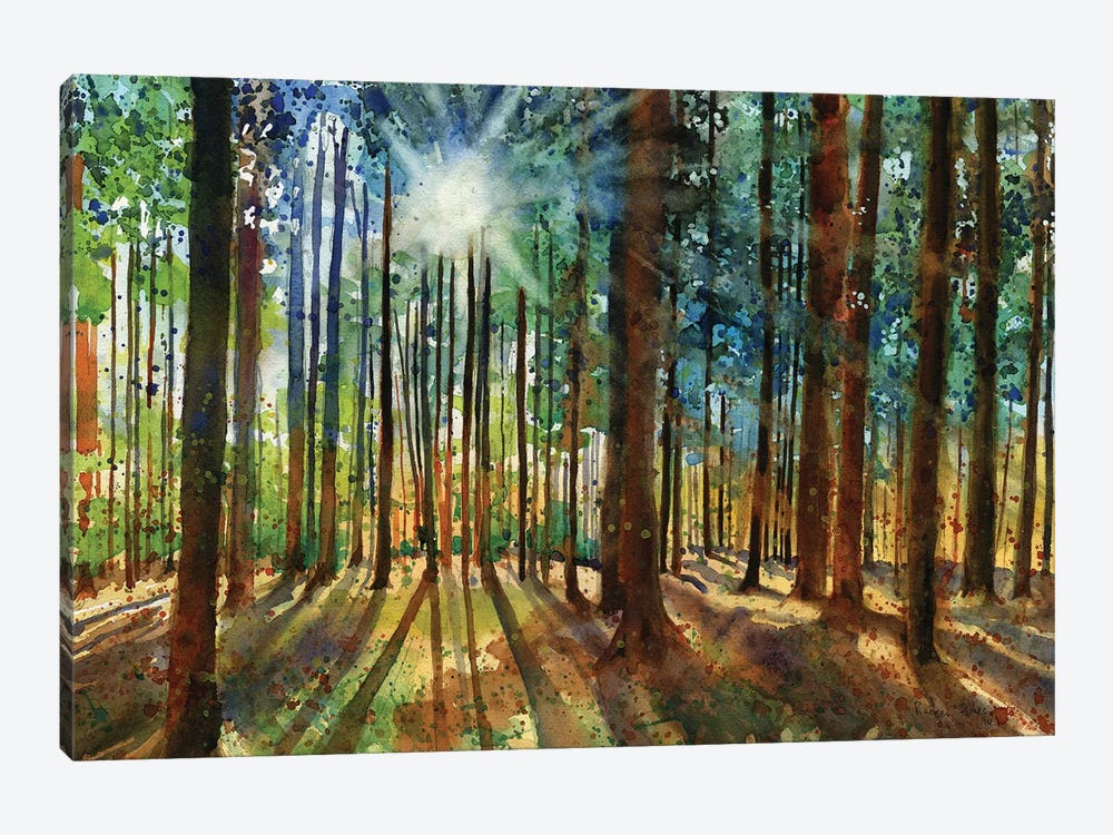 Lanscapes Karins Forest by Rachel Parker 1-piece Canvas Artwork