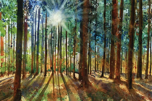 Rachel Parker: Lanscapes Karins Forest by Rachel Parker
