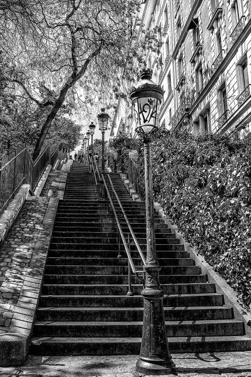 Montmartre Stairs by Rose Palmisano wall art
