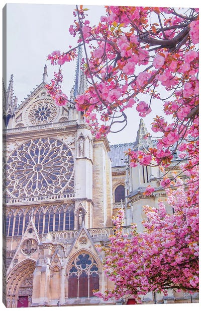Rose Window Blooms Notre-Dame de Paris Canvas Art Print - Dreamer