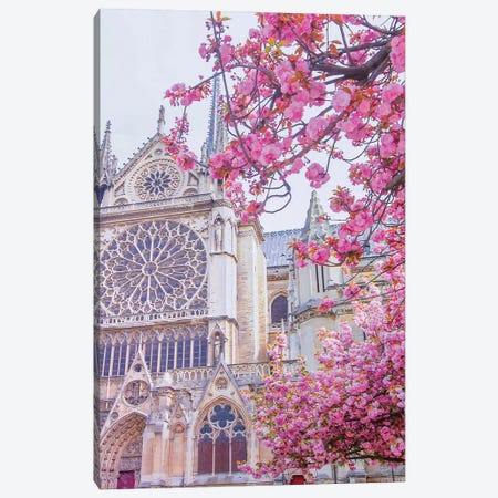 Rose Window Blooms Notre-Dame de Paris Canvas Print #RPM113} by Rose Palmisano Canvas Artwork
