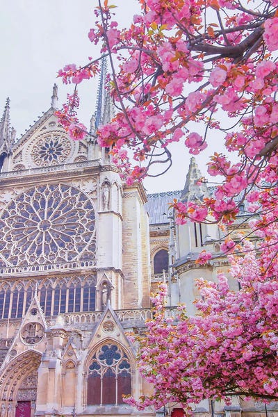 Famous Places Of Worship: Rose Window Blooms Notre-Dame de Paris by Rose Palmisano