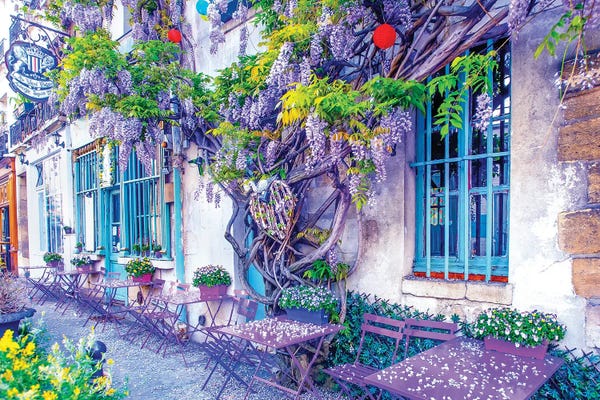 Rose Palmisano: Wisteria Vines In Bloom Au Vieux Paris by Rose Palmisano
