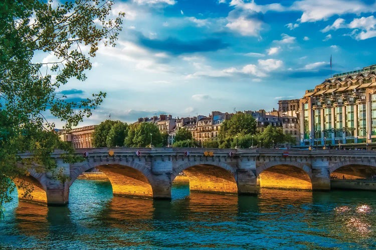 Pont Neuf Blue Hour by Rose Palmisano wall art