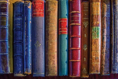 Vintage Leather Books Paris by Rose Palmisano metal wall art