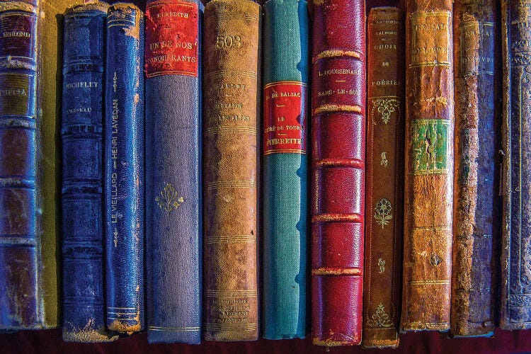 Vintage Leather Books Paris