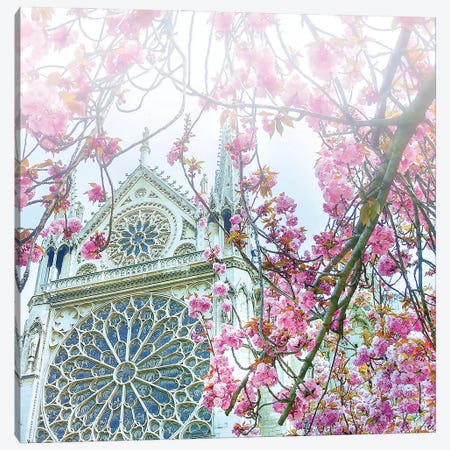 Cherry Blossoms Notre-Dame de Paris Canvas Print #RPM129} by Rose Palmisano Canvas Print