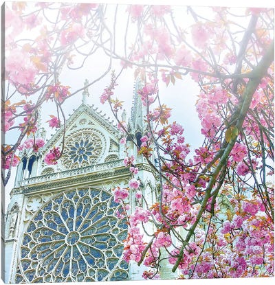 Cherry Blossoms Notre-Dame de Paris Canvas Art Print - Notre Dame Cathedral