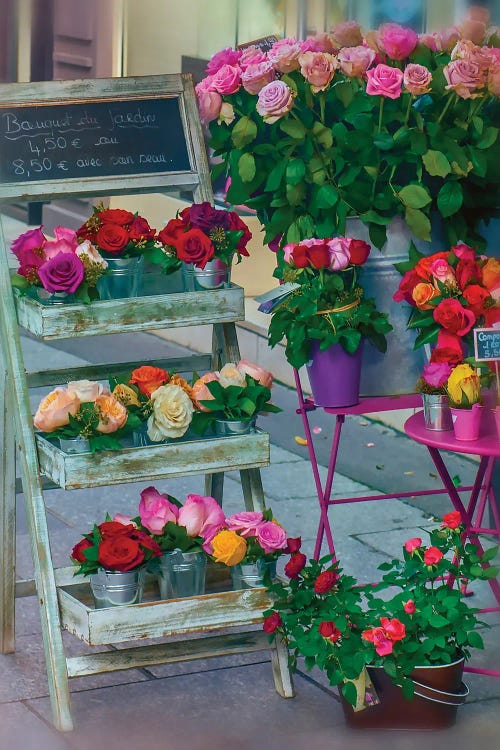 Paris Roses in Winter by Rose Palmisano wall art