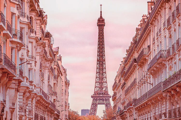 The Eiffel Tower amid Haussmann Architecture by Rose Palmisano wall art