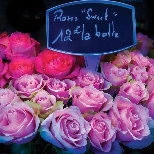 Fine Art Print: Pink Roses Paris by Rose Palmisano