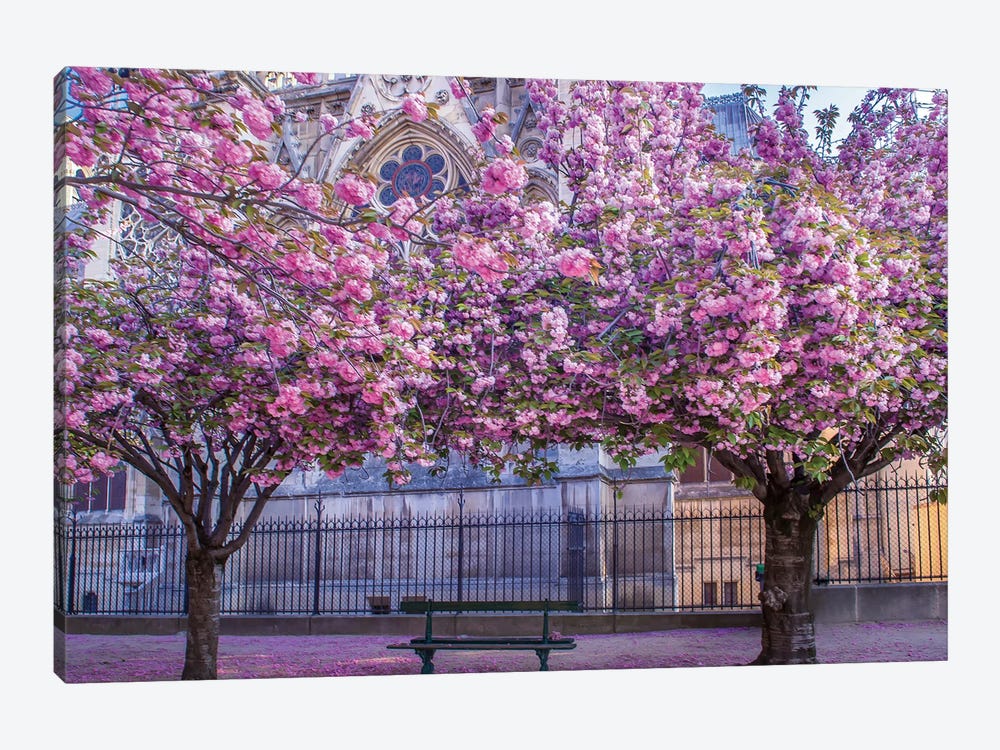 Cherry Blossoms Notre Dame 1-piece Canvas Wall Art