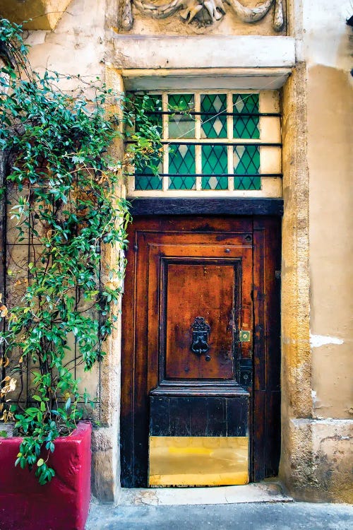 Vintage Door Paris