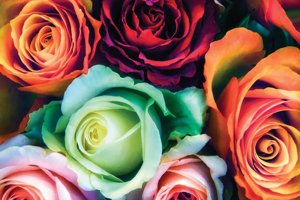 Fine Art Print: Paris Street Market Flowers by Rose Palmisano