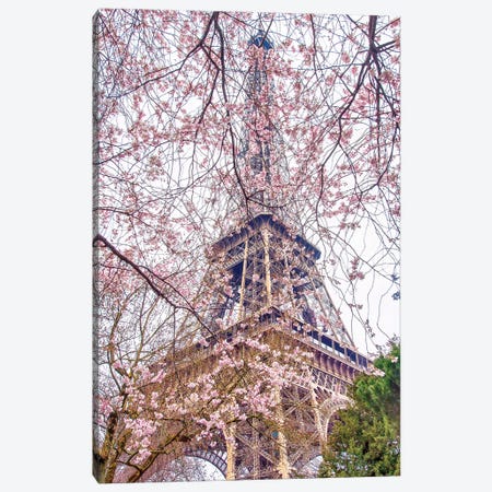 Pink Blossoms Eiffel Tower Canvas Print #RPM164} by Rose Palmisano Canvas Wall Art