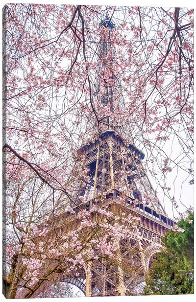 Pink Blossoms Eiffel Tower Canvas Art Print - Rose Palmisano