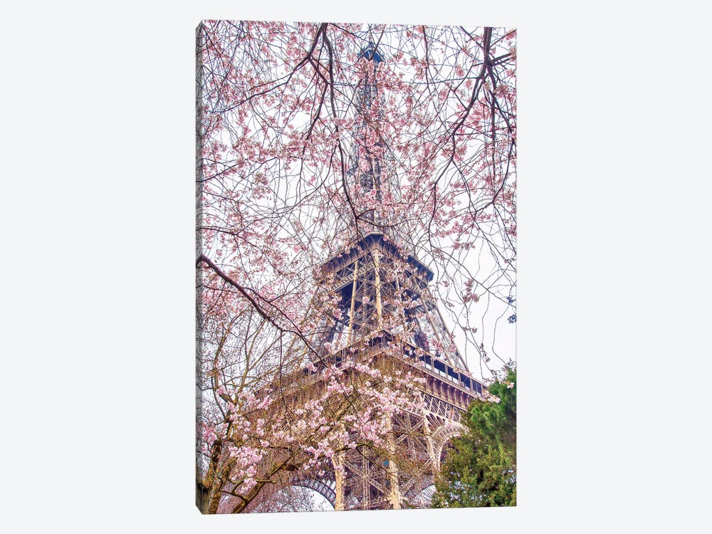 Pink Blossoms Eiffel Tower by Rose Palmisano 1-piece Canvas Print