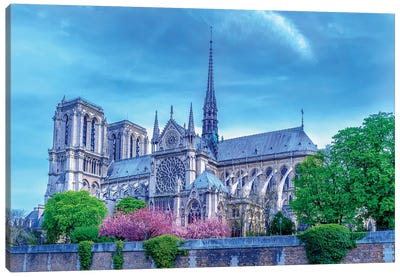 Cherry Blossoms Notre Dame Cathedral Canvas Art Print - Notre Dame Cathedral