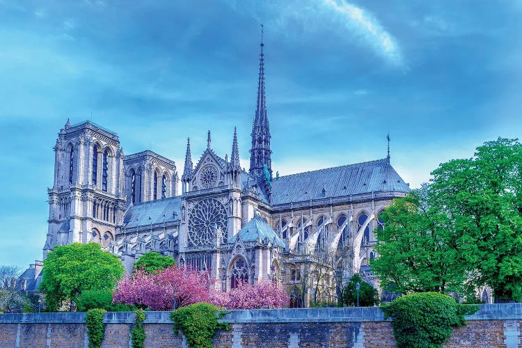 Cherry Blossoms Notre Dame Cathedral by Rose Palmisano wall art
