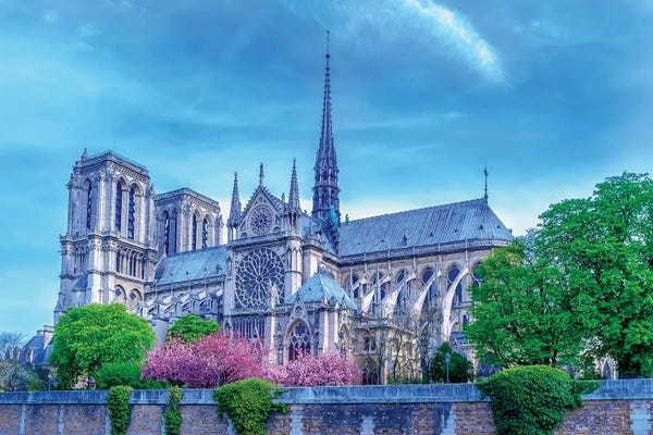 Rose Palmisano: Cherry Blossoms Notre Dame Cathedral by Rose Palmisano