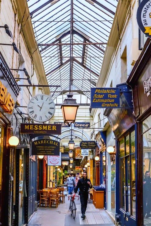 Passage Des Panoramas, Paris by Rose Palmisano wall art