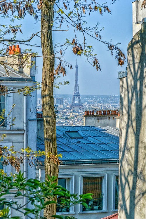 Eiffel Tower View