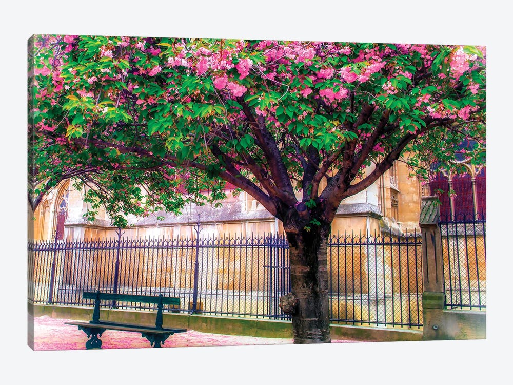 Cherry Blossom Tree by Rose Palmisano 1-piece Canvas Artwork