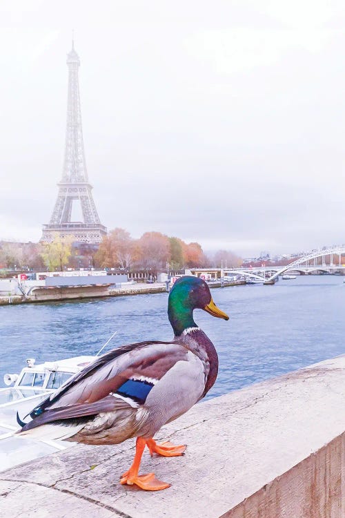 Strolling Along The Seine