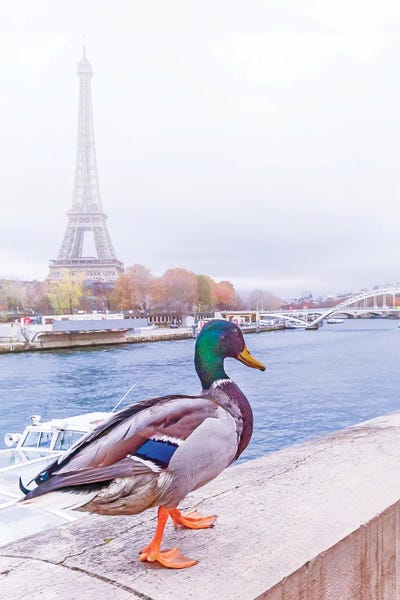 Rose Palmisano: Strolling Along The Seine by Rose Palmisano