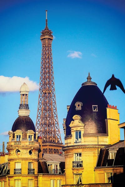 Rose Palmisano: Eiffel Tower Passy District Paris by Rose Palmisano