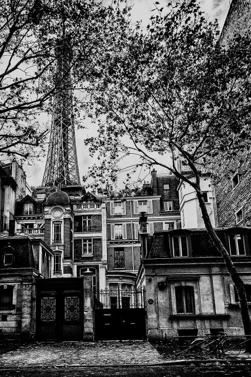 The Eiffel Tower In Autumn Leaves by Rose Palmisano wall art