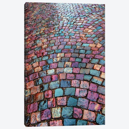 Montmartre Cobblestones Canvas Print #RPM55} by Rose Palmisano Art Print