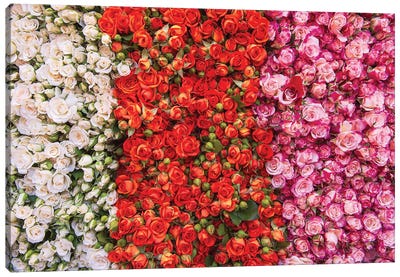 Paris Market Flowers Canvas Art Print - Rose Palmisano