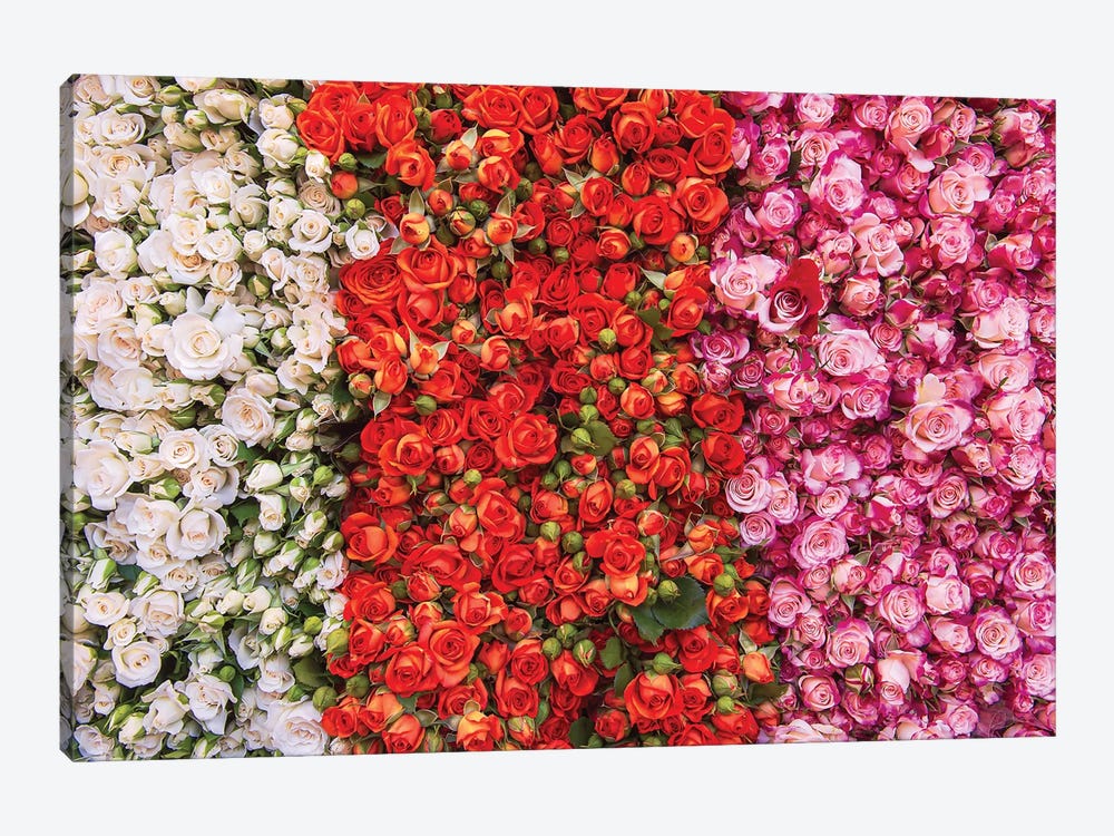 Paris Market Flowers by Rose Palmisano 1-piece Canvas Artwork