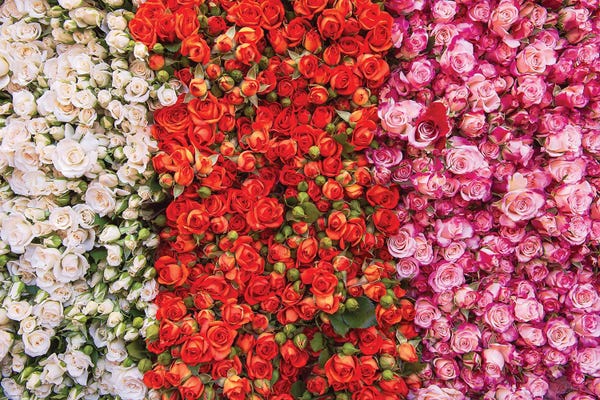 Fine Art Print: Paris Market Flowers by Rose Palmisano