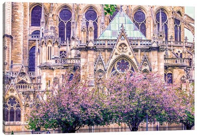 Gothic French Cathedral Canvas Art Print - Rose Palmisano
