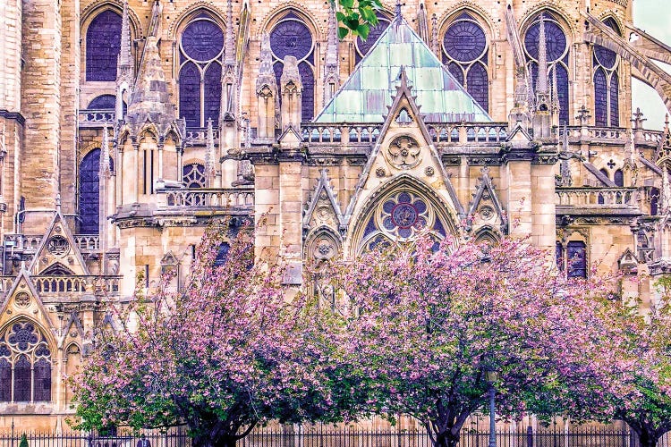 Gothic French Cathedral by Rose Palmisano wall art